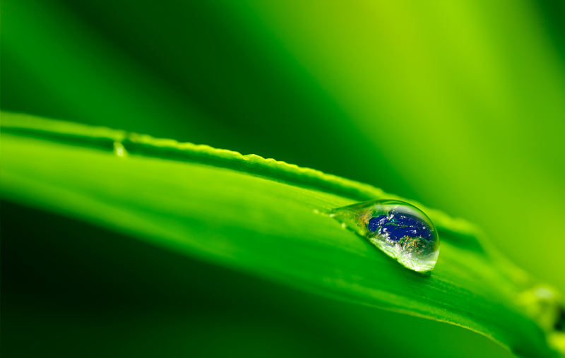 CreaFill Sustainability